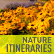 Nature and Culture