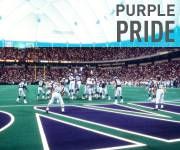 Minnesota Vikings