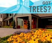 Minnesota Arboretum